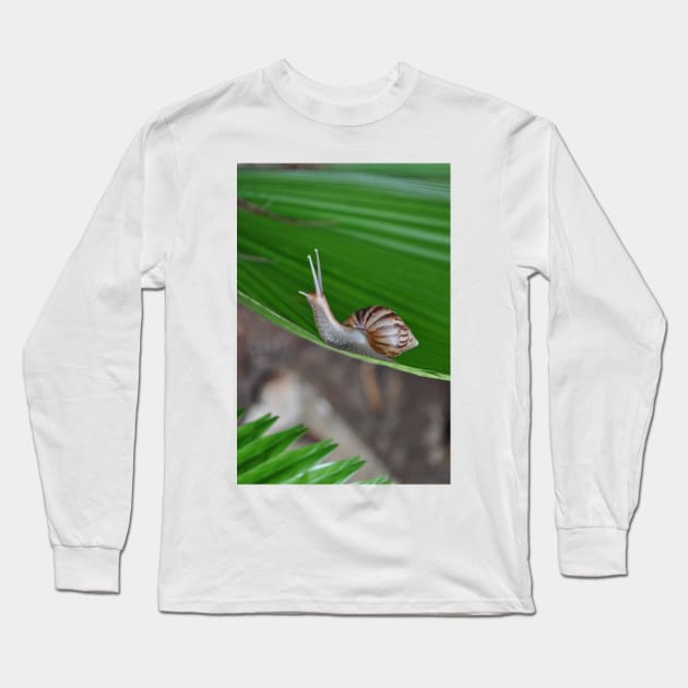 Snail Long Sleeve T-Shirt by gdb2